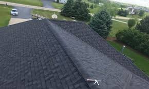 Best Roof Moss and Algae Removal  in Remerton, GA